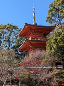 PXL_20260110_023348477.MP